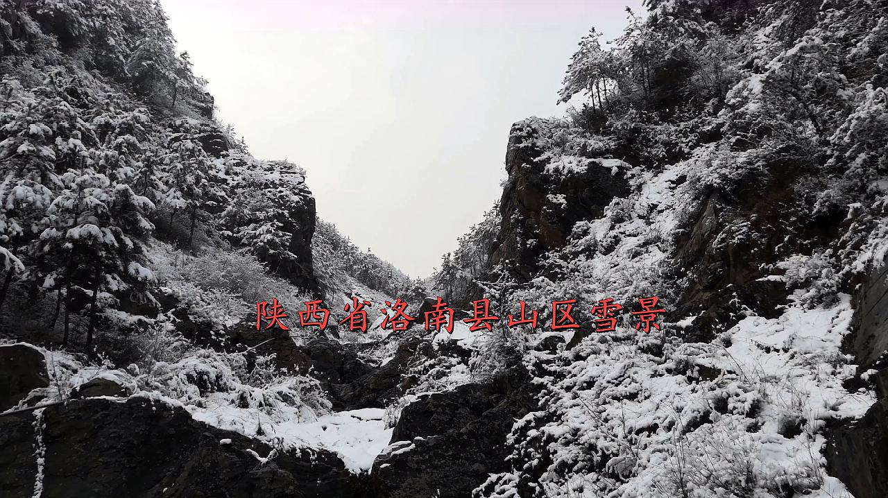 [图]陕西商洛山区时常有野猪攻击人,小伙独自上山拍雪景,心里很害怕