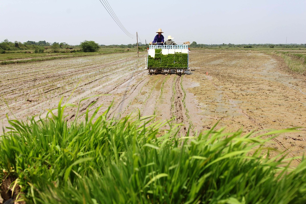 重庆市农业机械化学校地址及乘车路线 - 交通指南