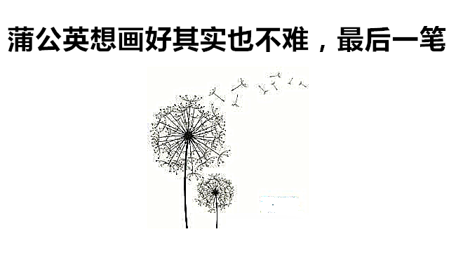 蒲公英简笔画,美女用简单10秒画好了一束最美的蒲公英,双击关注