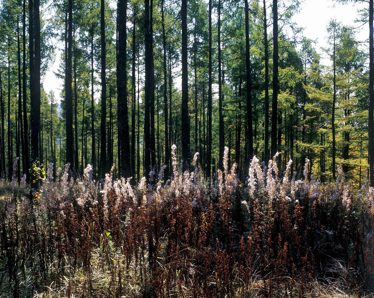 曲靖农业学校2019年五年一贯制大专重点专业