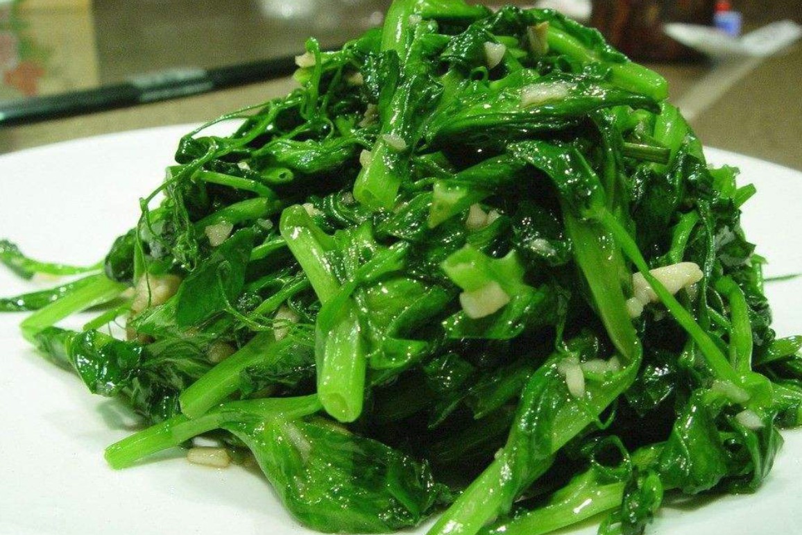 茎很粗的青菜图片