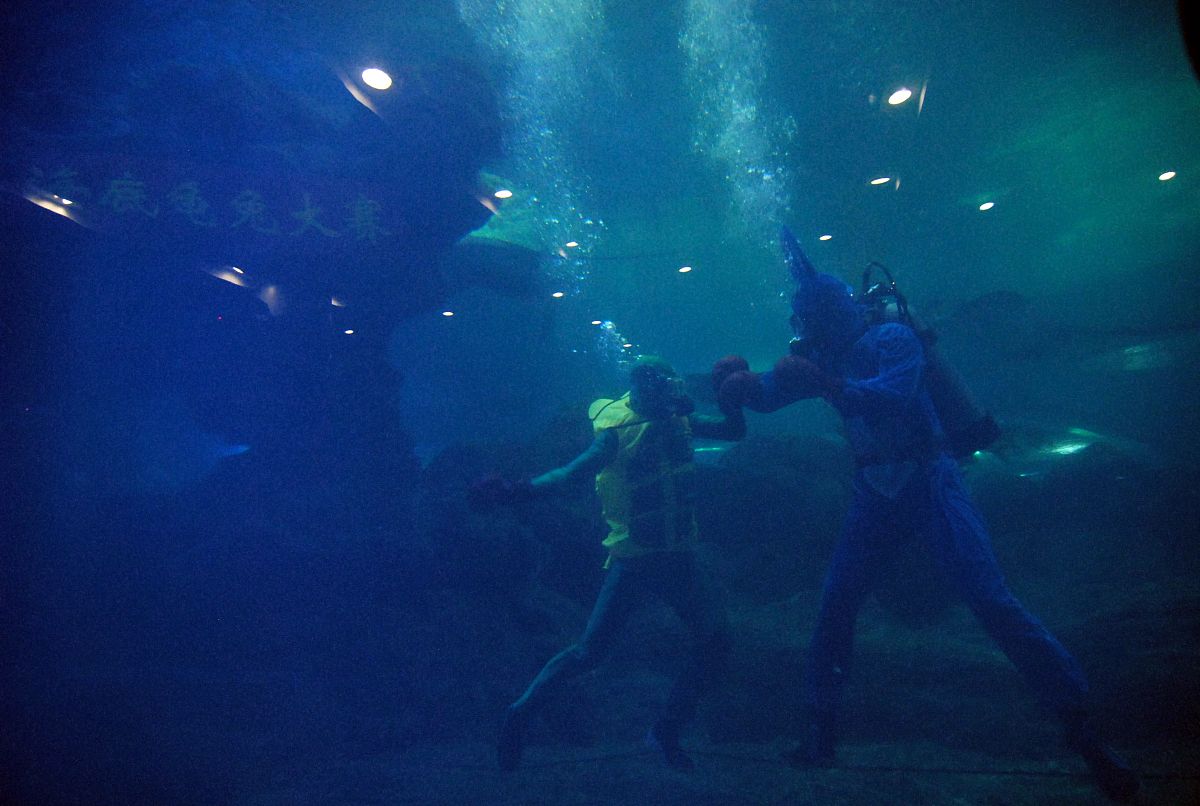 青岛海洋技师学院航空服务专业怎么样？就业前景如何？