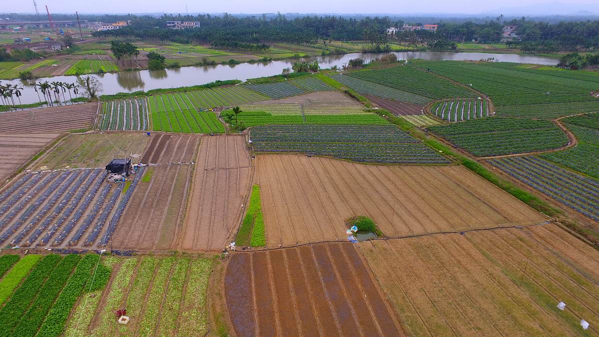 山西长治潞城区辛安泉镇南马村种植制度详解
