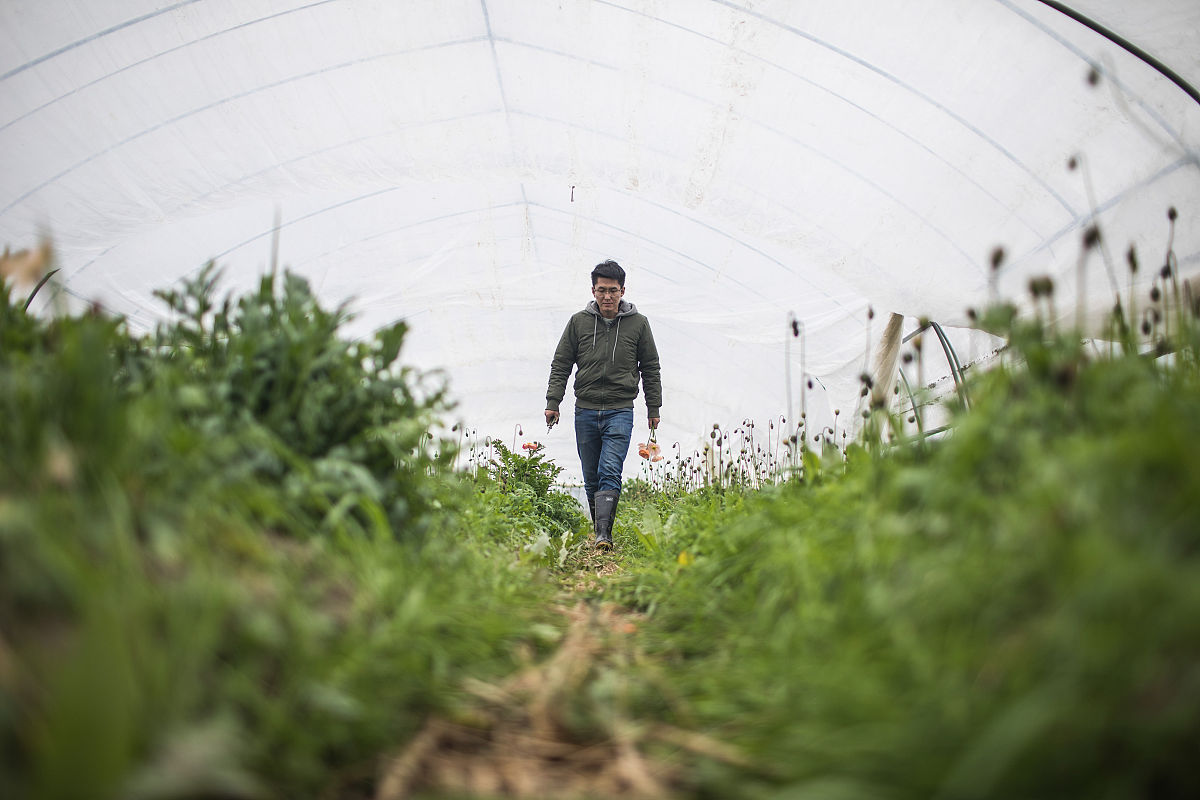 最甜蜜的早安情话短句，句句撩人！