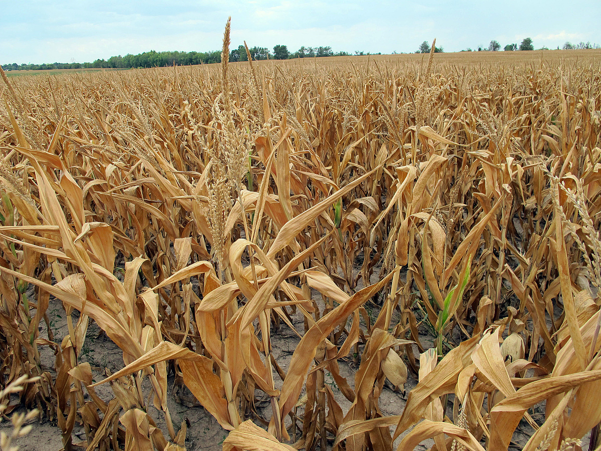 广东惠州农业学校2022年招生简章