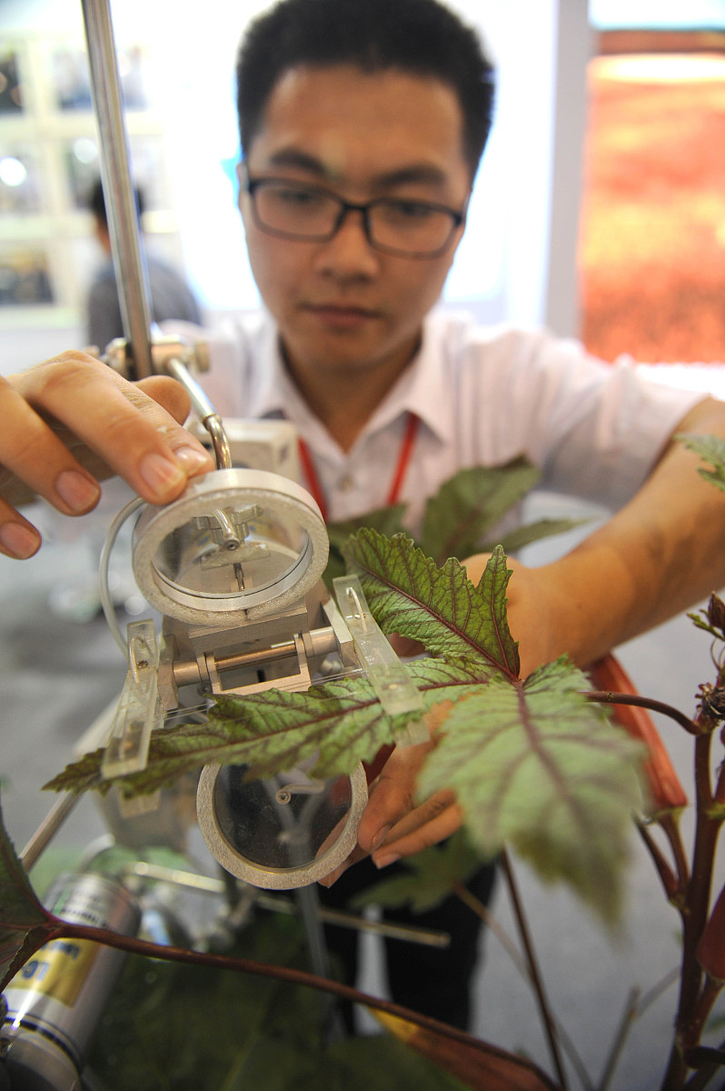 溶解氧对蒸腾速率的影响