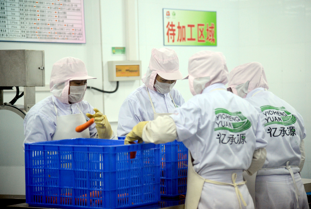 食品生物工艺专业发展前景如何？