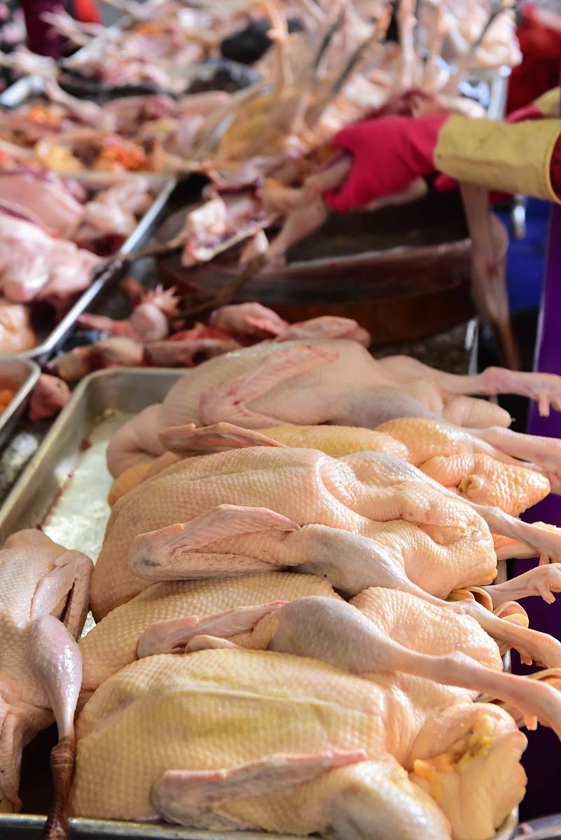 白条鸭价格走势分析：最新行情及影响因素