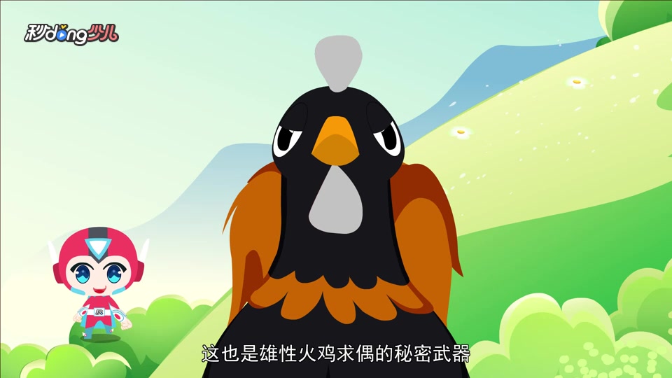 雄火鸡的头为什么会变色?