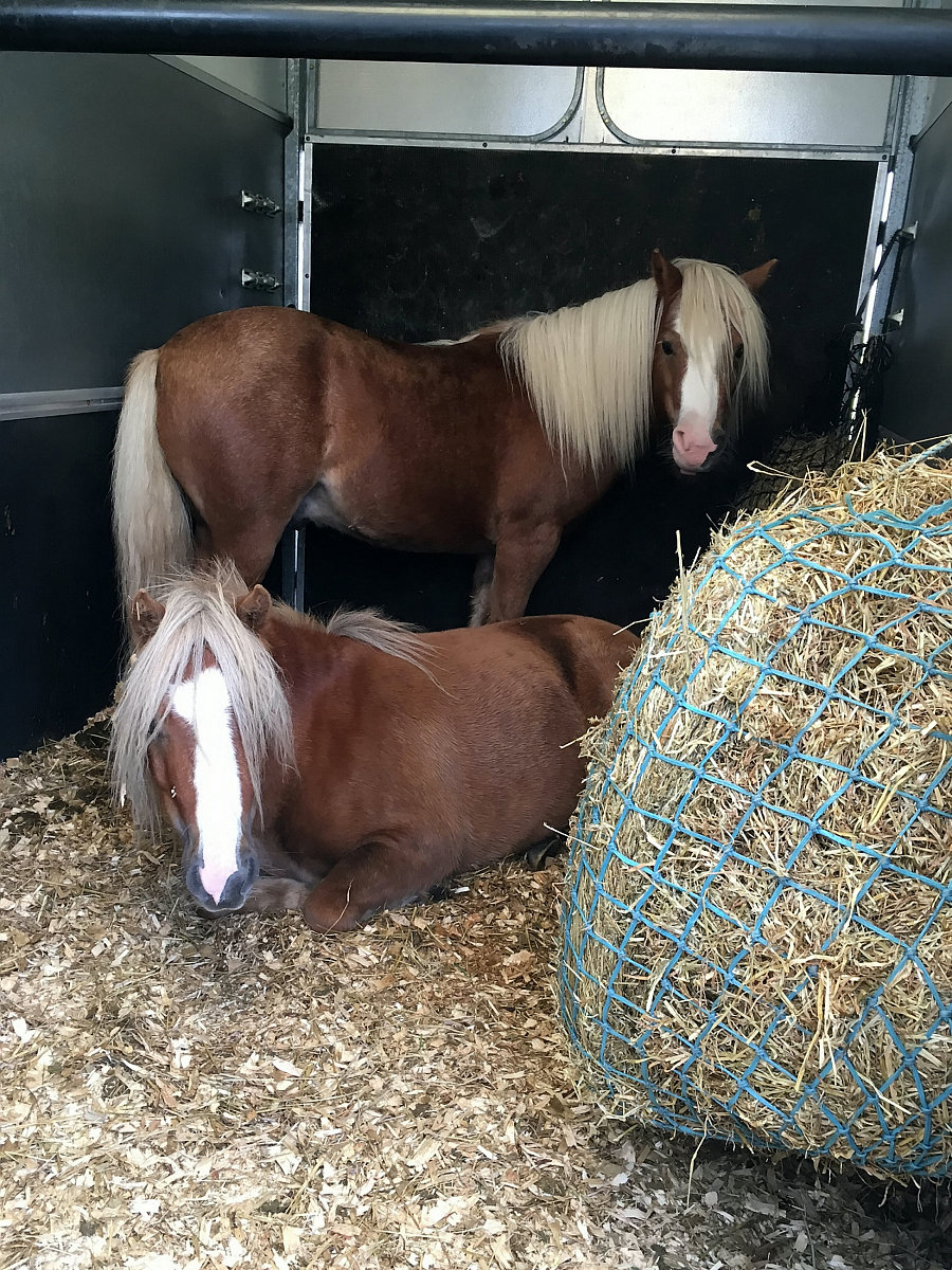研学旅行指导师教学方案：一课时课程详解