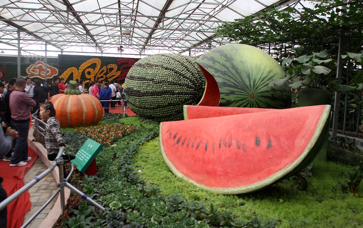 潍坊科技职业学院中专部怎么样？评价及就业前景