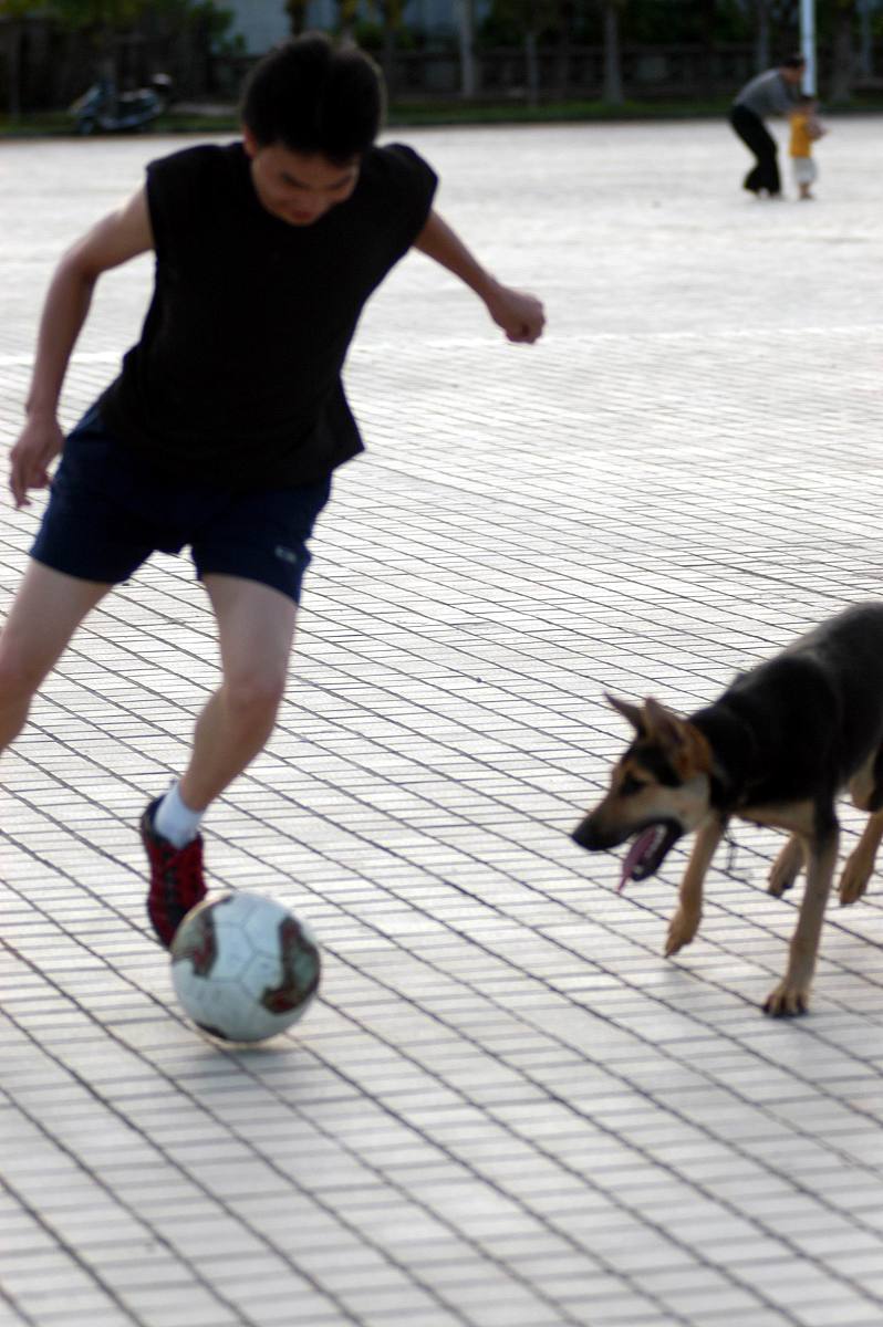 童年趣事：小汽车、足球和一只小狗