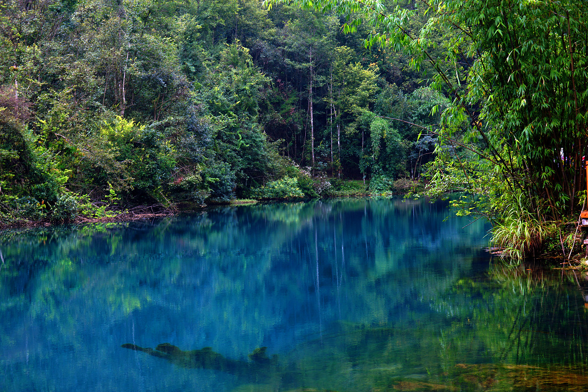 2023年荔波中等职业学校招生简章 - 贵州黔南优质职业教育选择