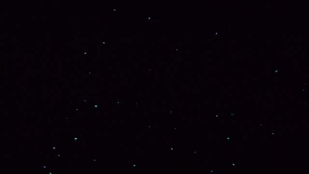 闪光鱼如何在黑暗中一起游动