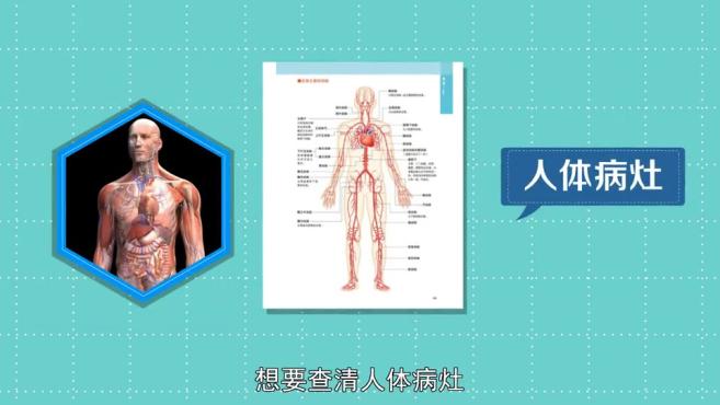 [图]「秒懂百科」一分钟读懂3D人体解剖图