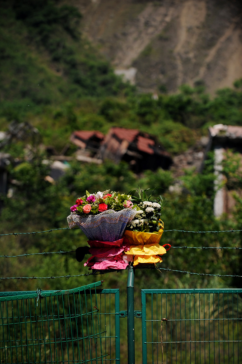 高中生长高食谱：促进青少年健康发育的营养指南