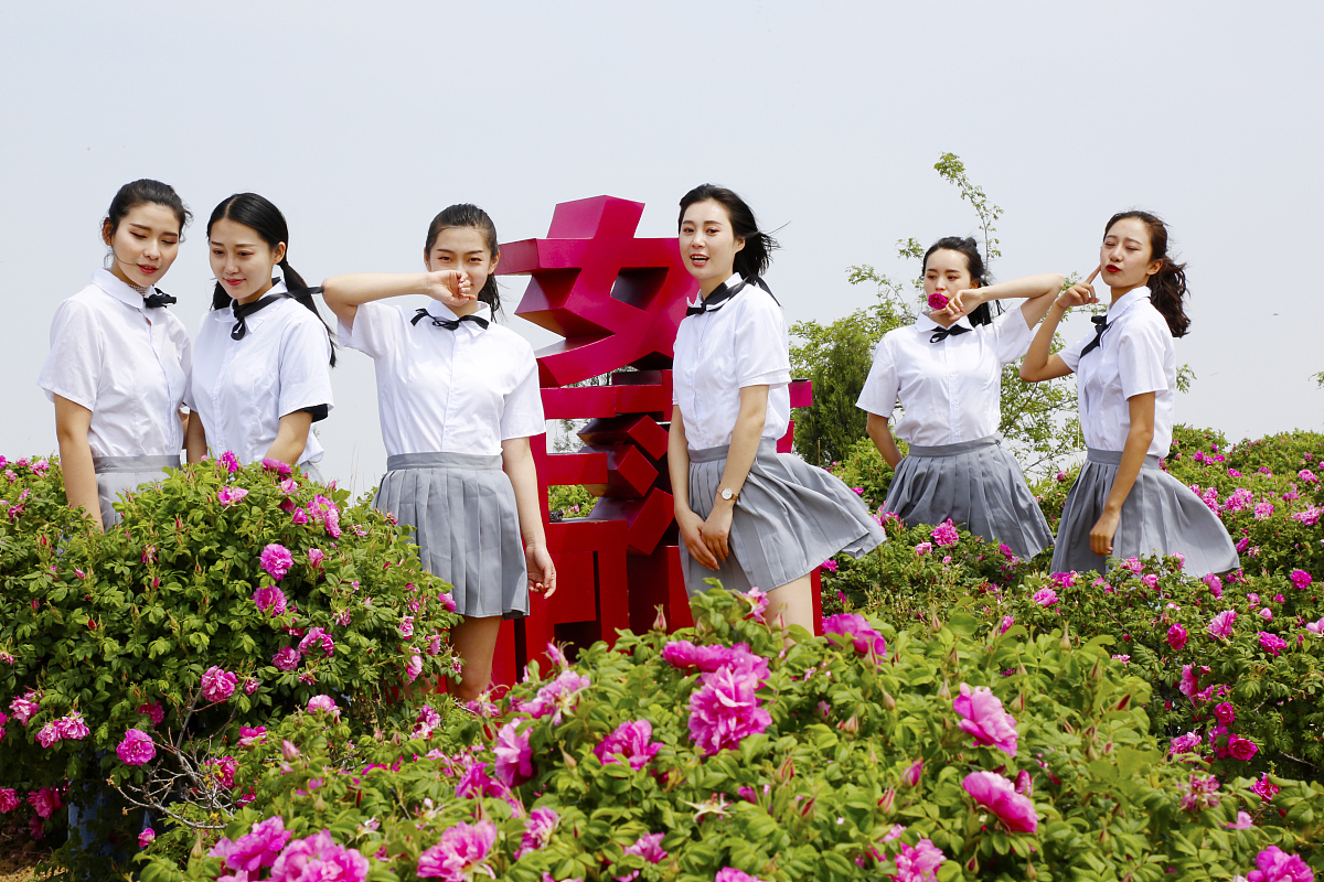 为了迎接五四青年节学校举行以青春为标题的演讲比赛请你写一篇演讲稿 要有清晰的观点表达你对青春的理解 尽量有具体材料表达你的观点 600字