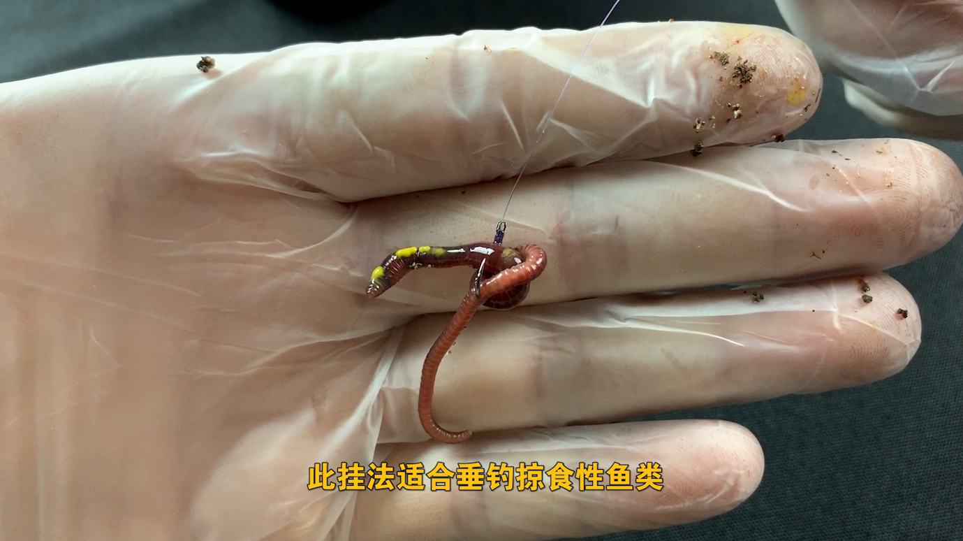 5种蚯蚓的挂法，合理应用才能钓大鱼！