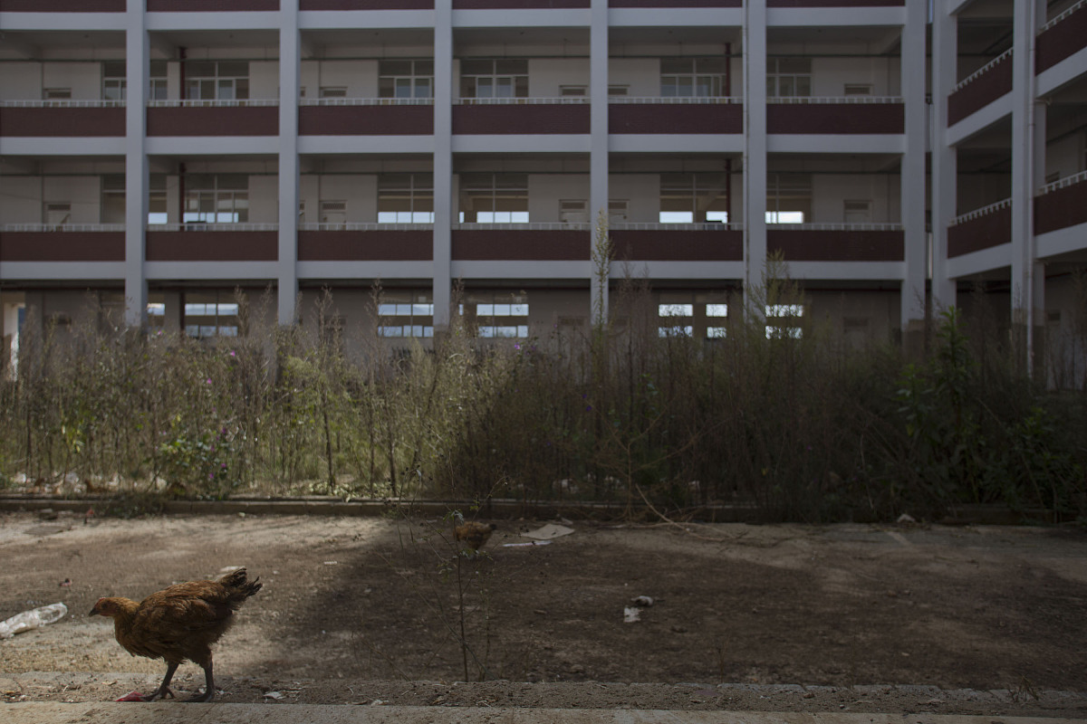 建设工程质量检测合同