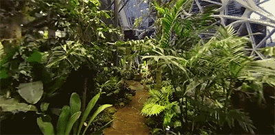 狂砸250億!亞馬遜花7年時間建造辦公室,員工們搶著要加班!