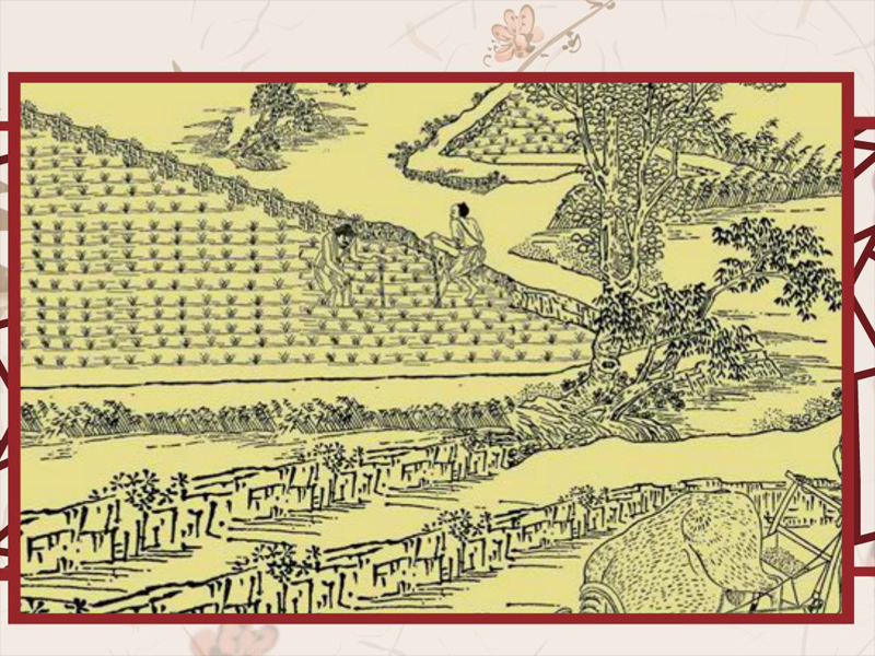 一分钟了解蝶恋花·春涨一篙添水面