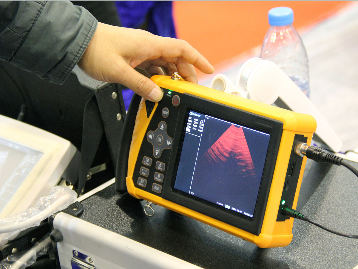 禽病快速检测设备：提升养殖效率，保障禽类健康