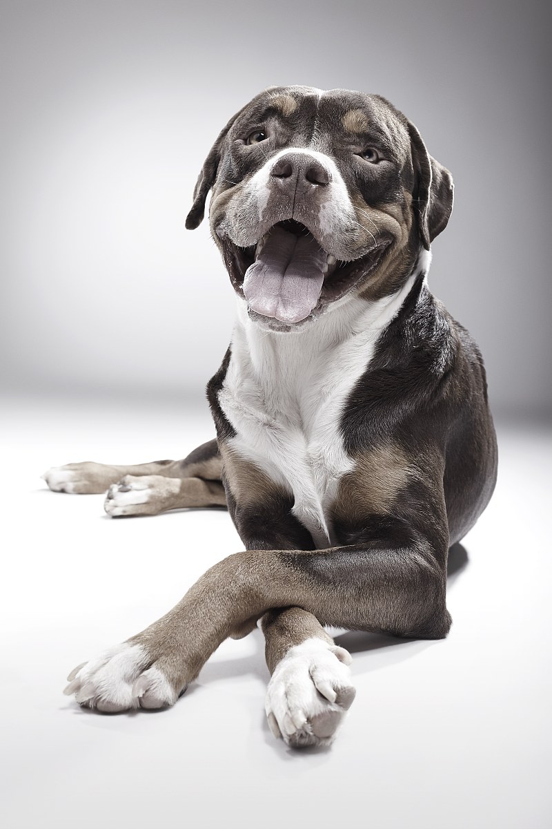 长春理工大学的过程装备与控制工程专业招生人数