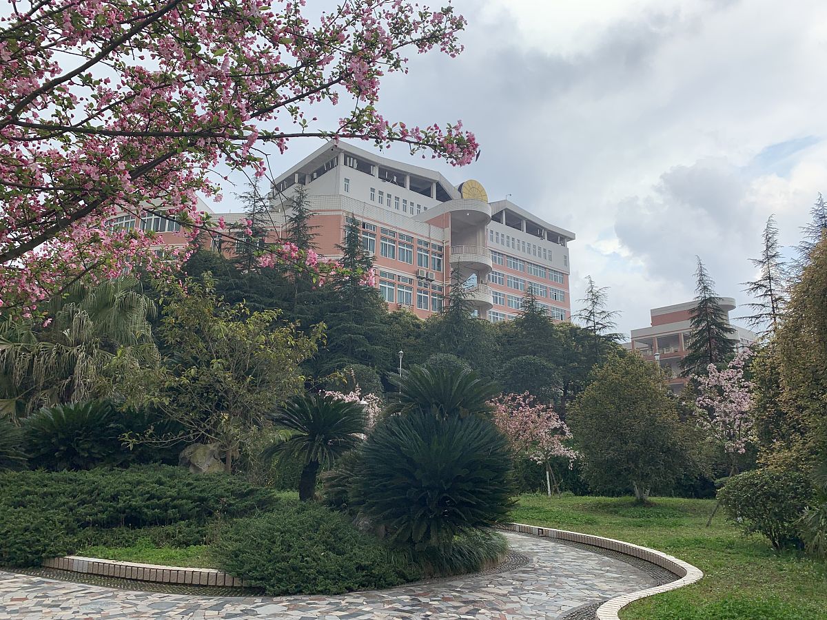 云南卫校排名：2022年值得考虑的医学院校