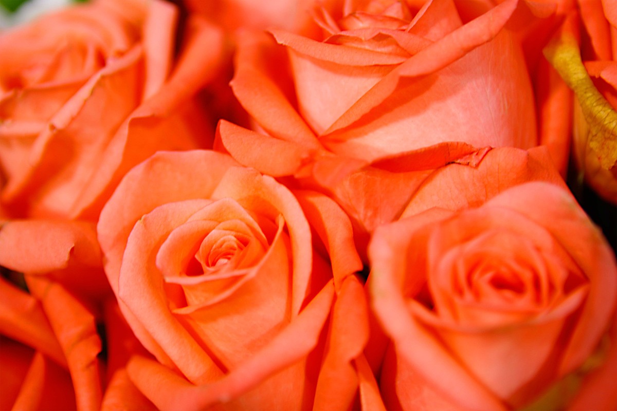 徐州经贸高等职业学校2022年招生专业-怎么样