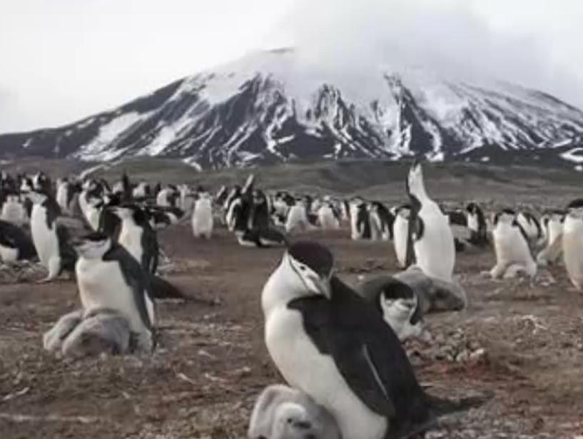 [图]一分钟了解地球脉动第一季