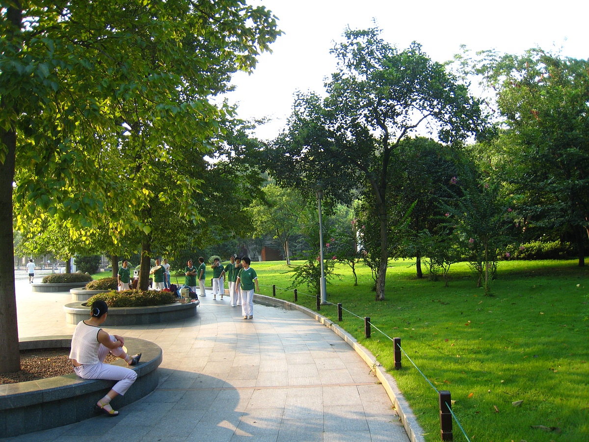 发现脚下的音符 - 一篇有趣的公园散步经历