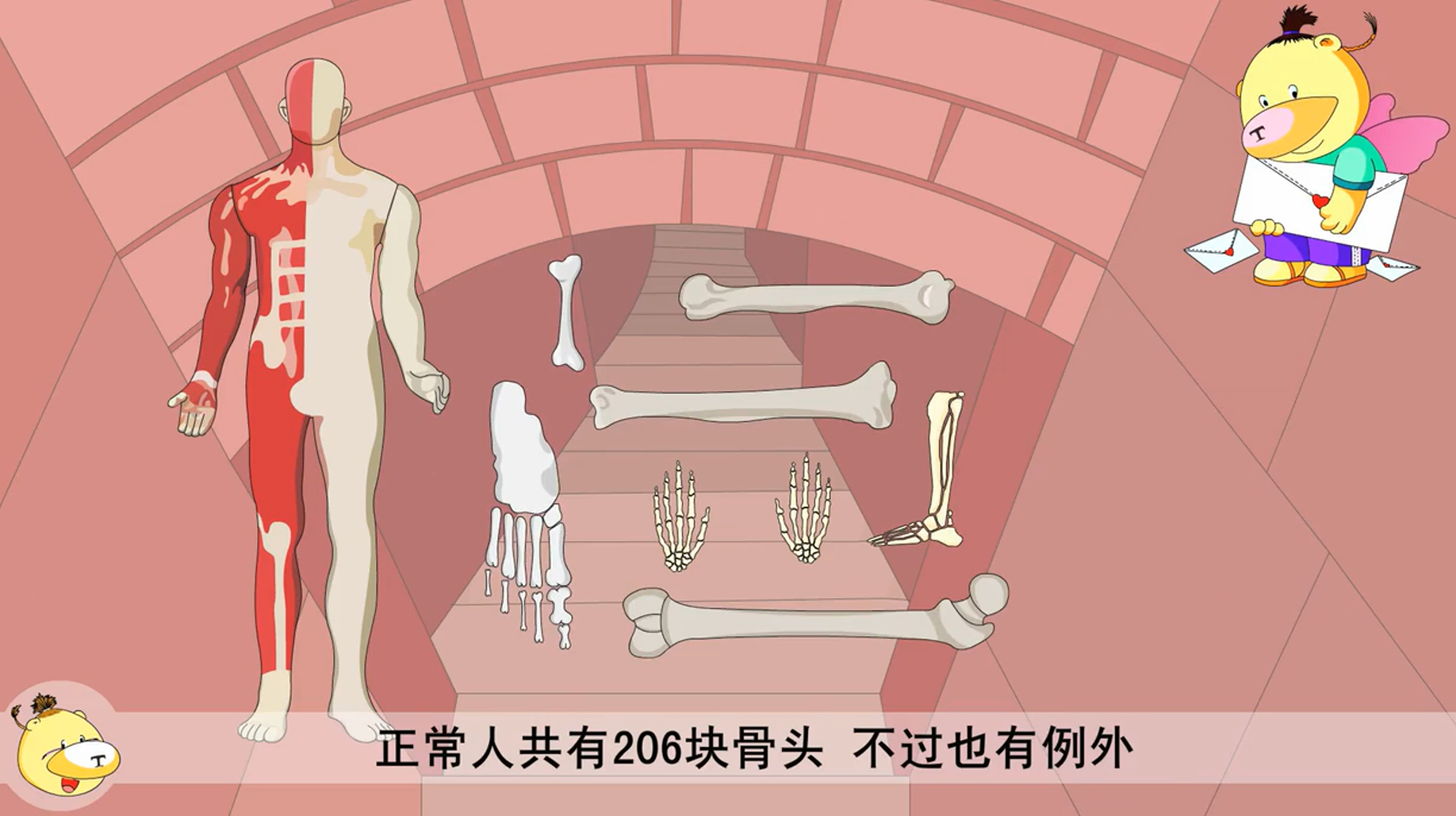 [图]人体大发现:人有206块骨头,都是什么骨头,又都有什么作用呢?