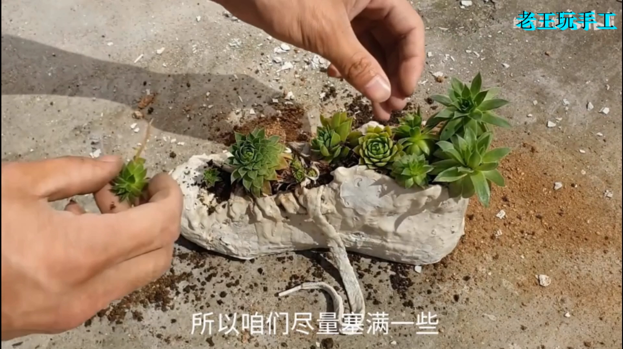 有破旧鞋子怎么办?千万不要扔,教你一招变废为宝制作多肉花盆