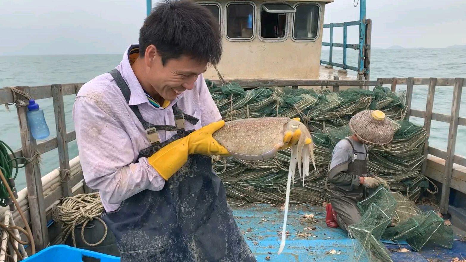 大墨鱼为了保护自己,对着东西就会喷墨,阿展决定拿阿宝来做实验