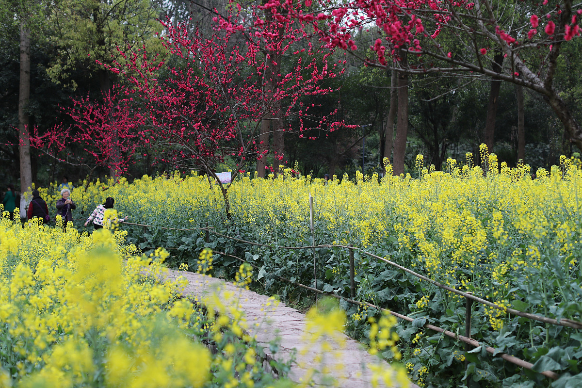 春天来了，让我们一起拥抱美好！
