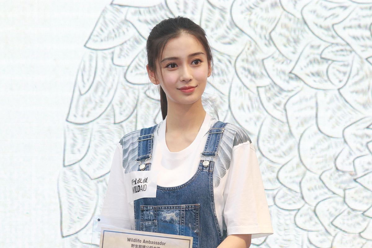 2016年5月17日,北京,明星以野生救援公益大使身份出席新闻发布会.***_