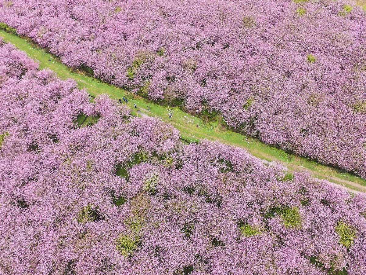 20个简短好听的网名，5-8字昵称大全！