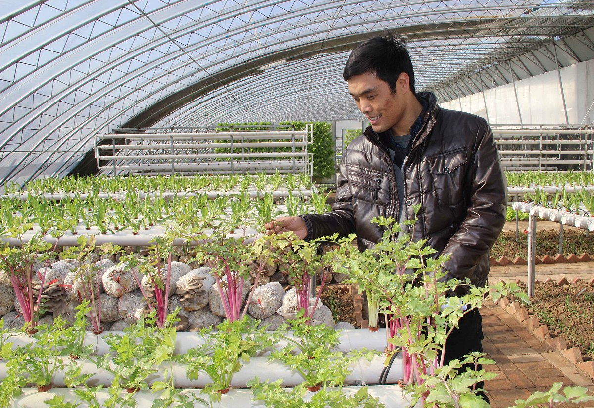 酒泉职业技术学院种子生产与经营专业：学什么？就业方向？