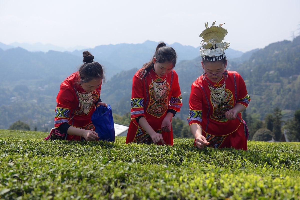 湖北民族学院科技学院医学检验技术专业怎么样