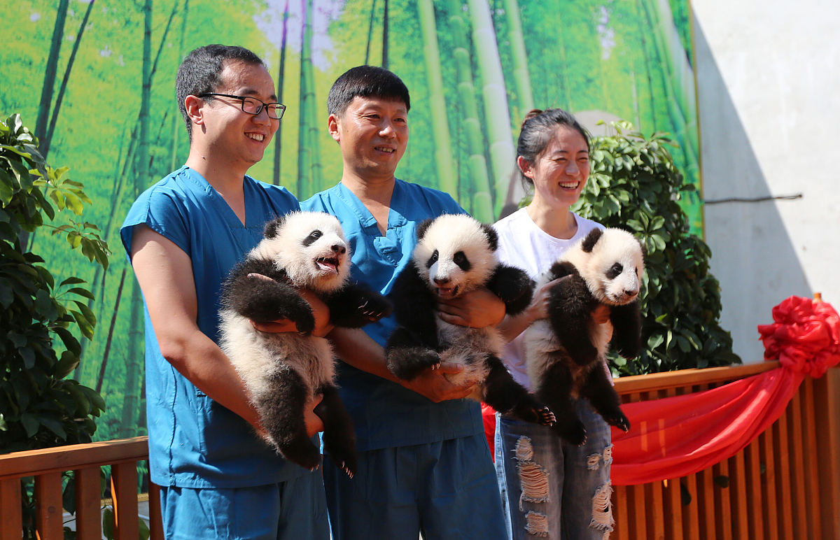 吉林省林业技工学校办学规模怎么样？师资力量、教学设施揭秘！