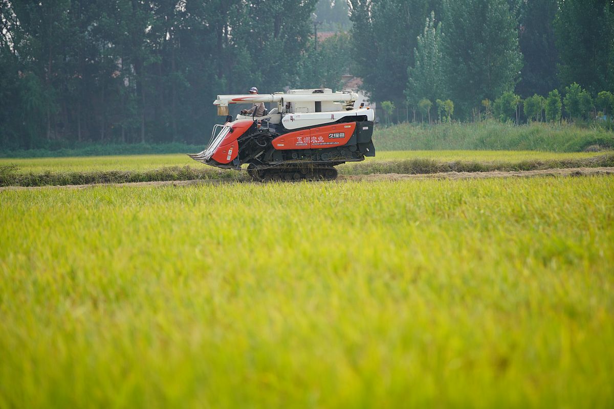 重庆农业机械化学校数字媒体技术毕业后是什么学历