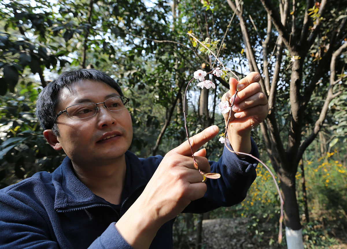 工程师评审副高级：职称晋升标准和职责