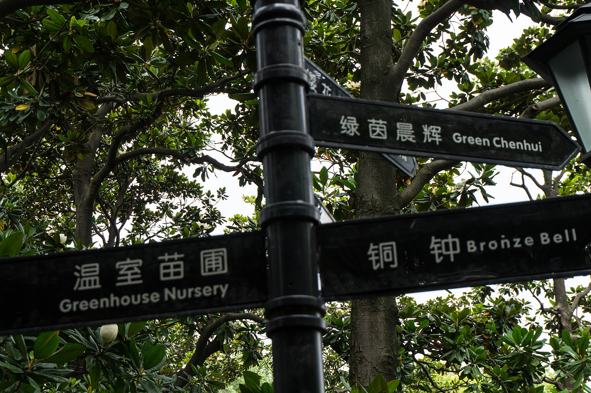 如何识别英语句子中的逻辑矛盾：① 与 ② 冲突