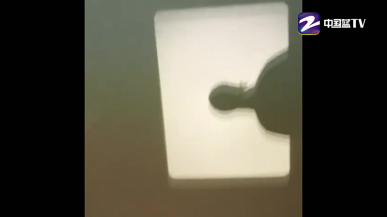 李宇春晒剪影视频 春春随手搓出一个鱼尾辫