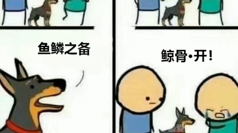 阴阳师崽战噩梦久次良鲸骨开,欢乐的表情包时间!