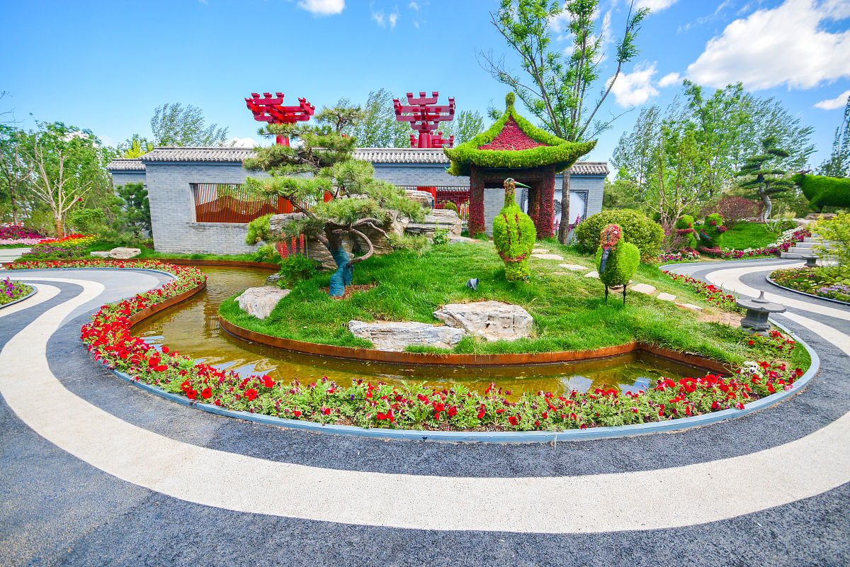 关于延安市宝塔区应对园林景观绿化过程中提高进城大树的成活率和移植效果的建议不少于800字。