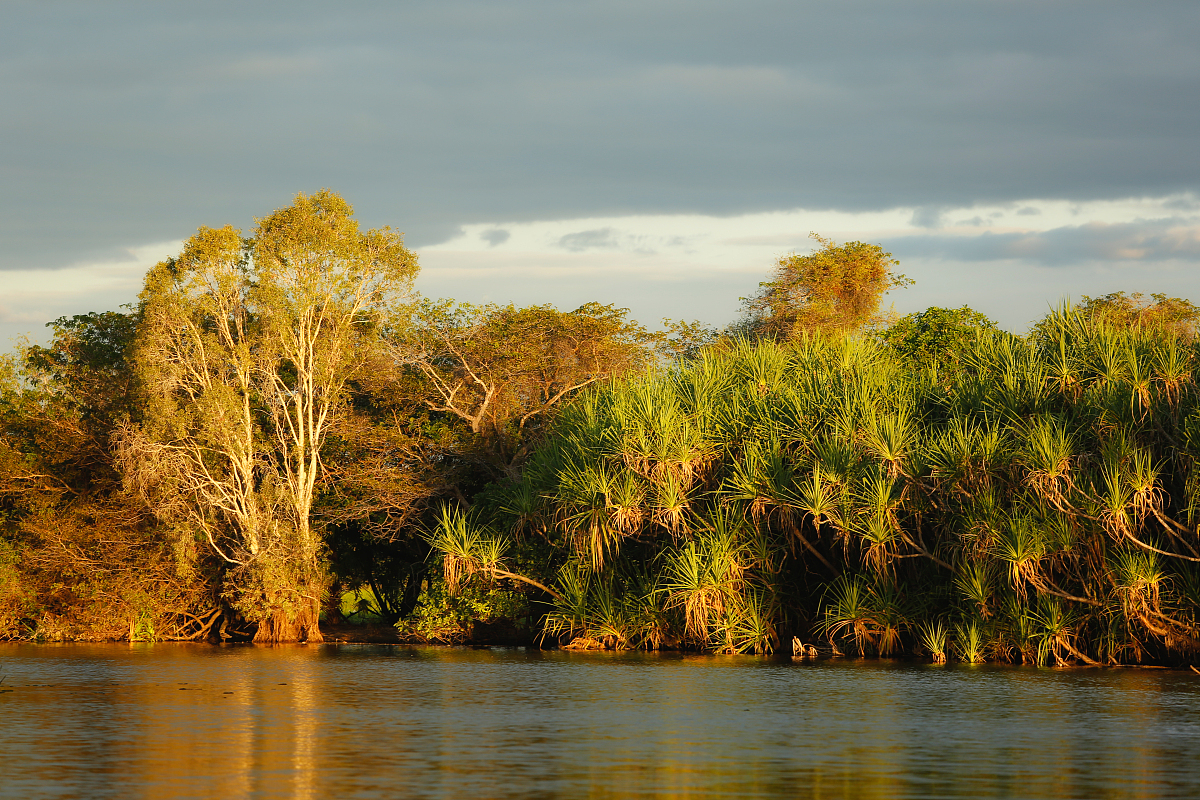 因数和乘数：数学概念解析和区别