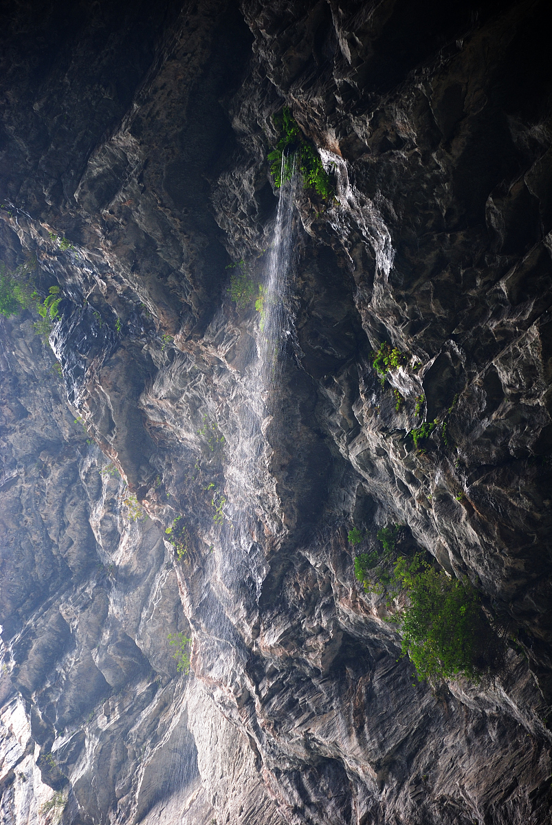 重庆旅游职业学院2019招生简章