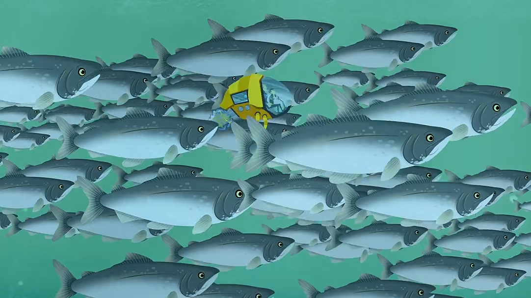 动物兄弟:桂鱼群里跑出来一个大鲨鱼,动物兄弟被吃了?