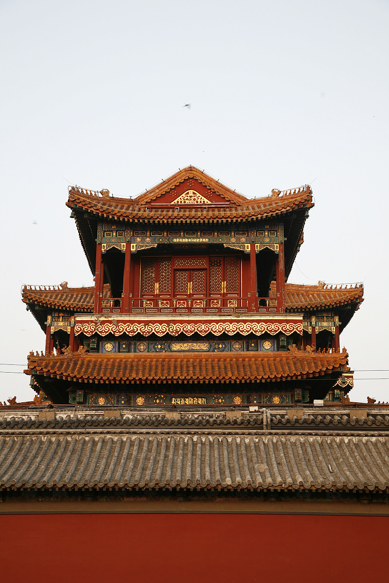 结婚生娃是为了什么